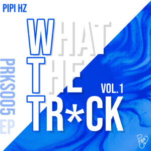 ADULTO (ORIGINAL MIX) – PIPI HZ